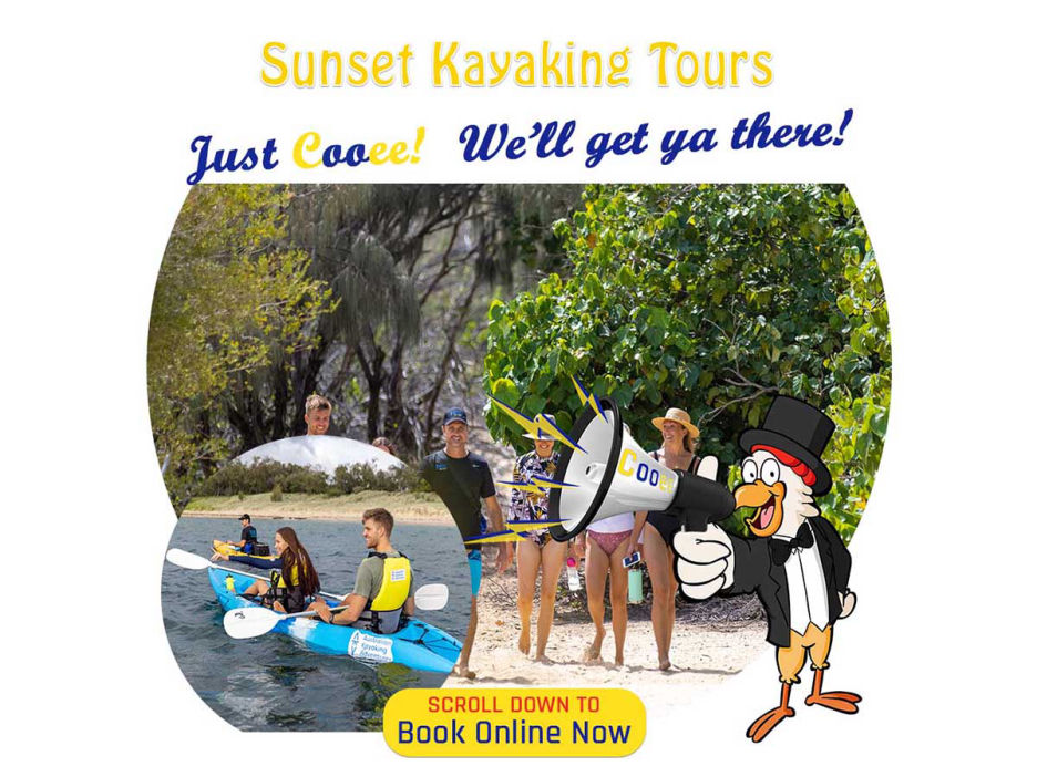 Australian Kayaking Sunset Tour Gold Coast, Hinterland Cooee Tours Australia Bus Tour Company with Mercedes Benz Buses for Winery Tours, Nature Tours, City Tours, Fun Tours, Golf Tours, Queensland, Brisbane, Toowoomba, Gold Coast, Sunshine Coast, Cairns, Wide Bay, Bryon Bay, Sydney, food world northern rivers