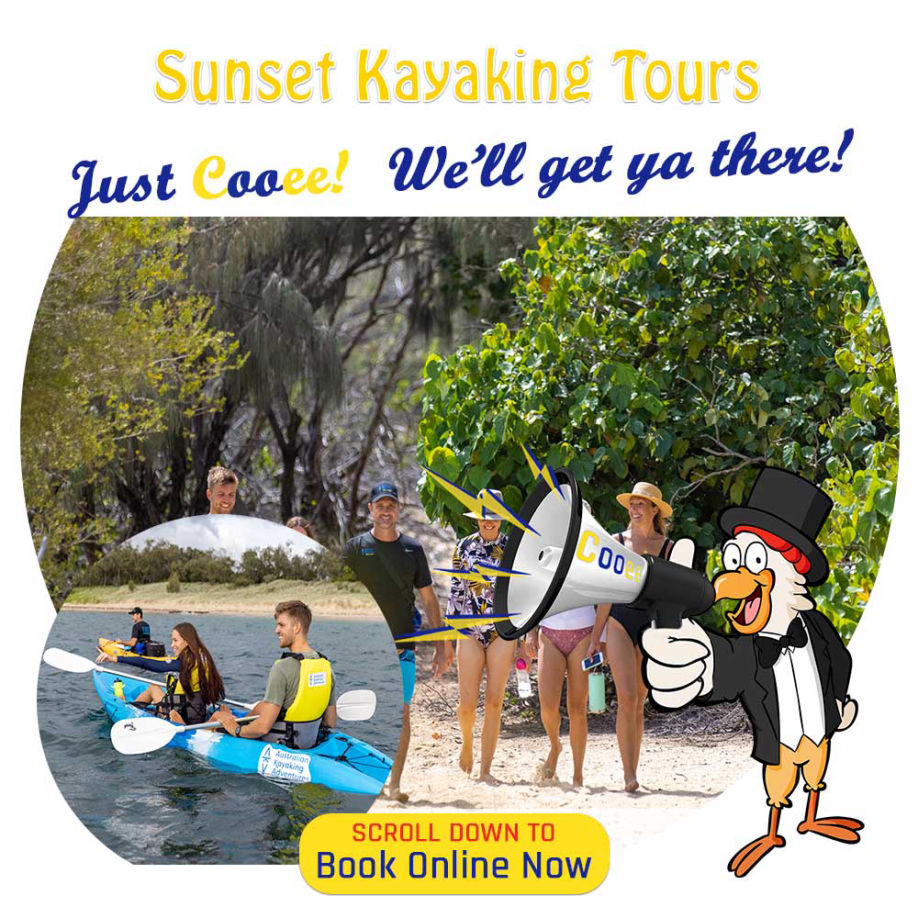 Australian Kayaking Adentures, Eumunidi Markets and Sunshine Coast Tours Cooee ToursMount Tamborine Wine Tours, Cooee Tours Australia Bus Tour Company with Mercedes Benz Buses for Winery Tours, Nature Tours, City Tours, Fun Tours, Golf Tours, Queensland, Brisbane, Toowoomba, Gold Coast, Sunshine Coast, Cairns, Wide Bay, Bryon Bay, Sydney