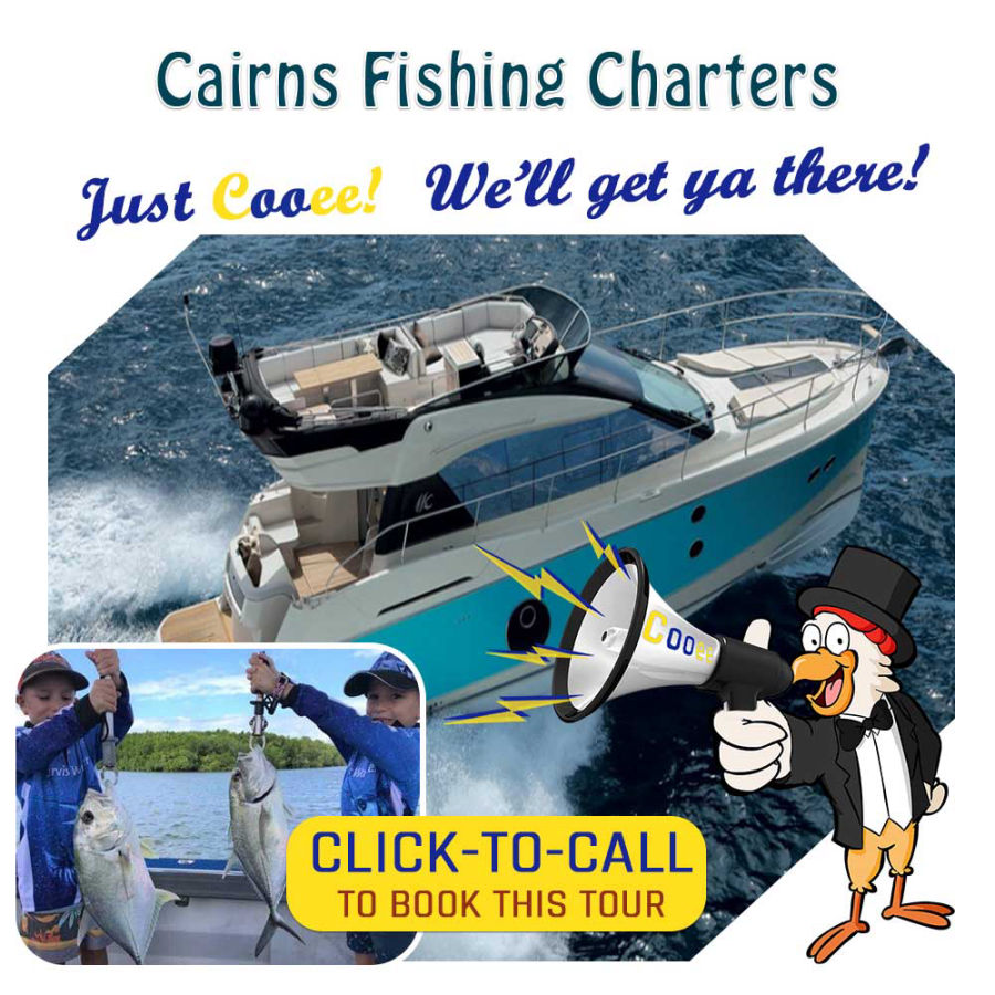  Cairns Fishing Charters and Tours with Cooee Tours
