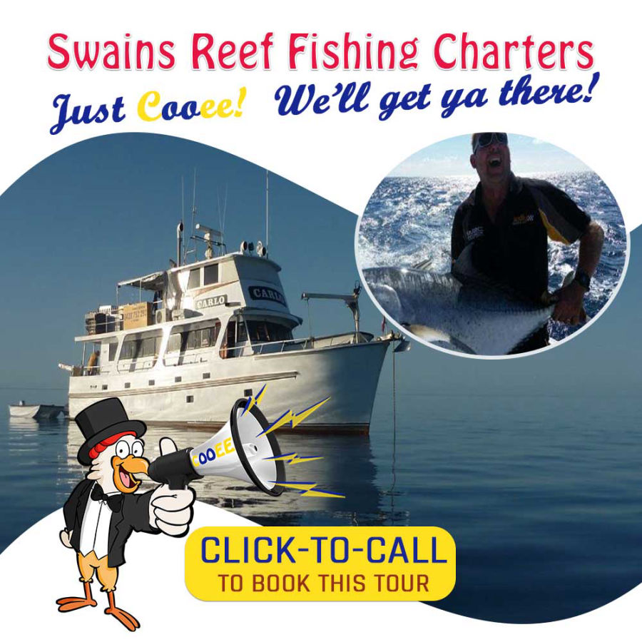  Swains Reef Fishing Charters and Tours with Cooee Tours