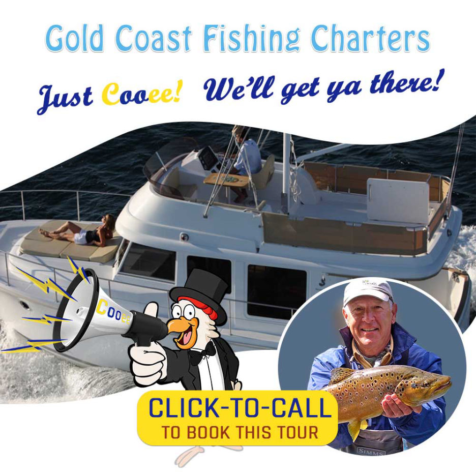 Gold Coast Fishing Tours Cooee Tours