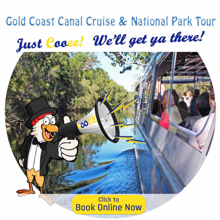Gold Coast Canal Cruises