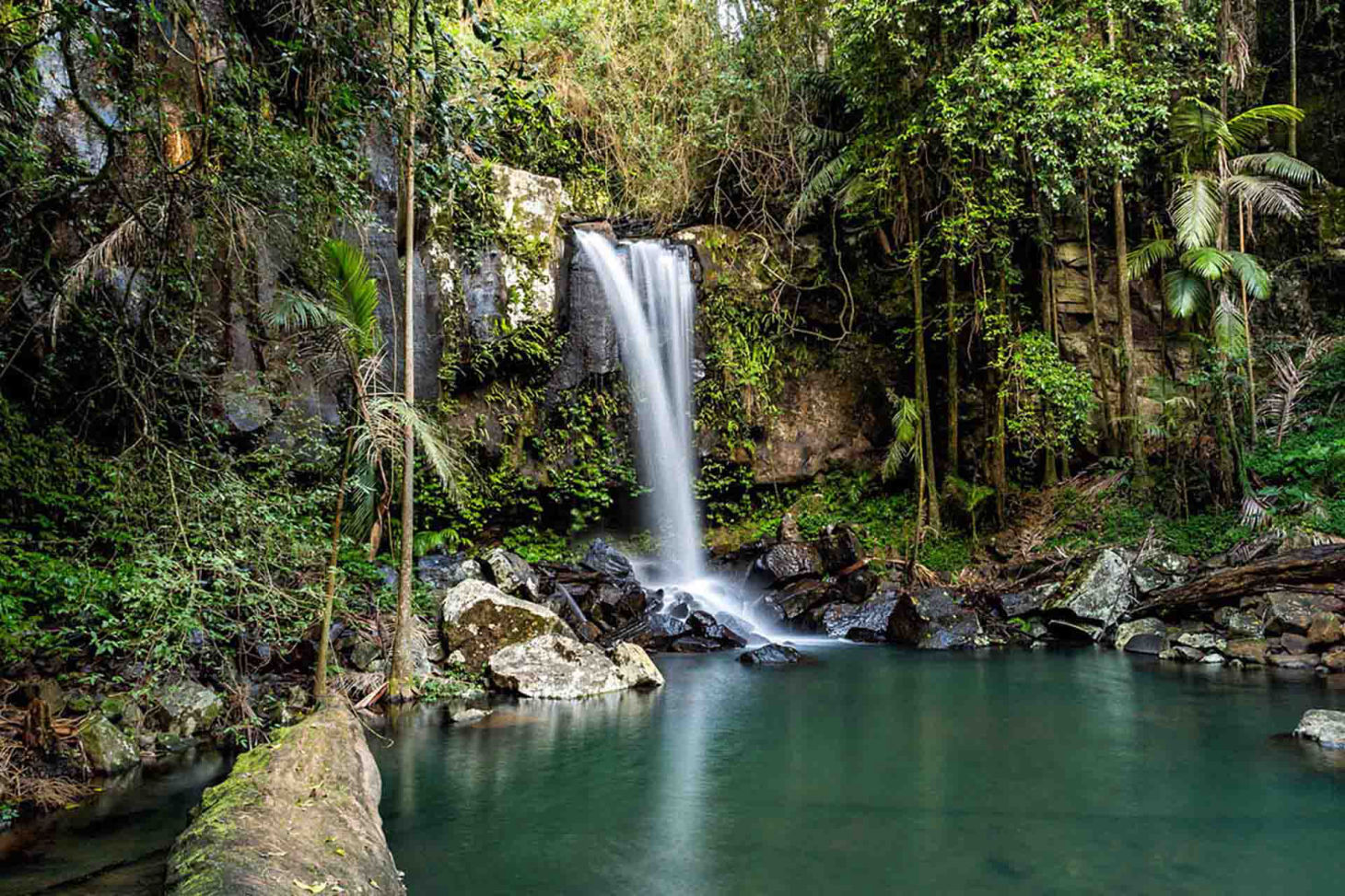 bus tours for seniors Mount Tamborine