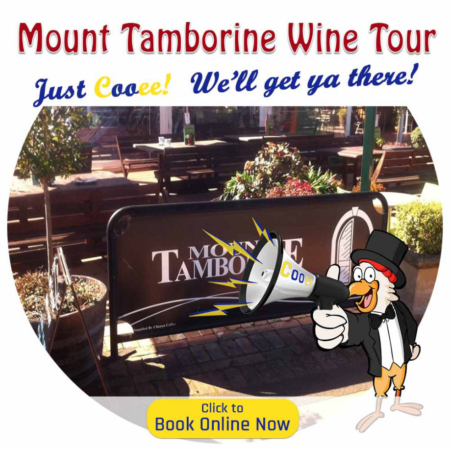 Mount Tamborine Wine Tours
