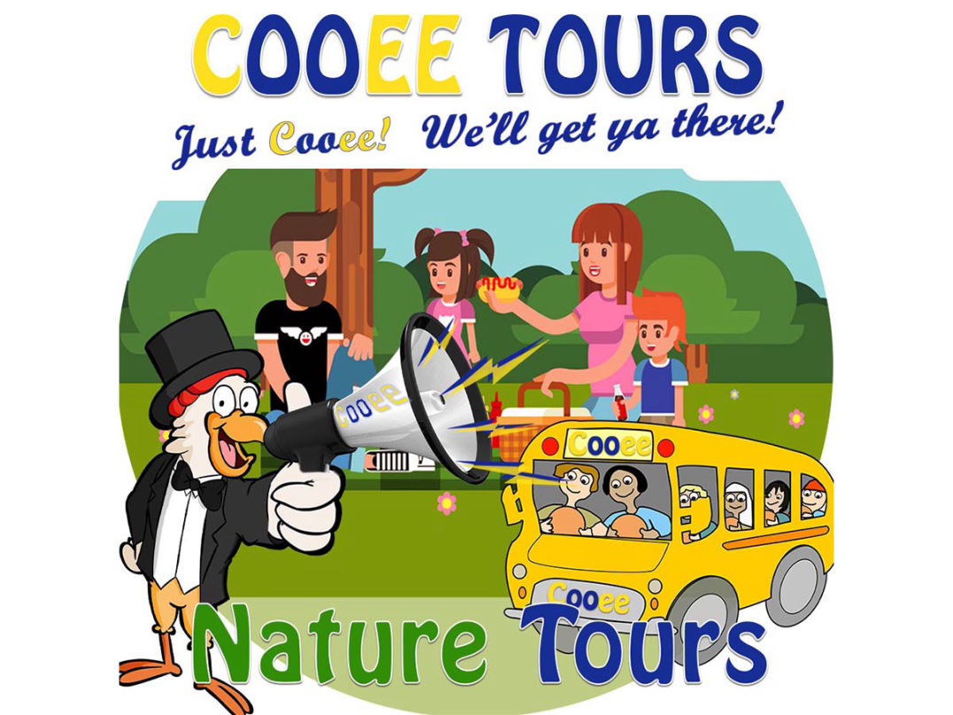 cheese factory tours by bus