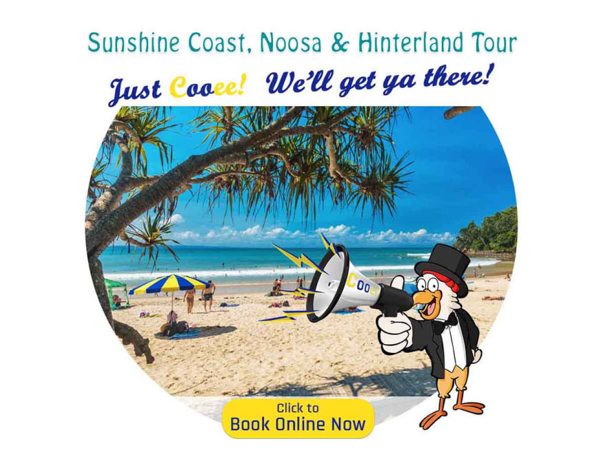 bus trips for seniors Sunshine Coast