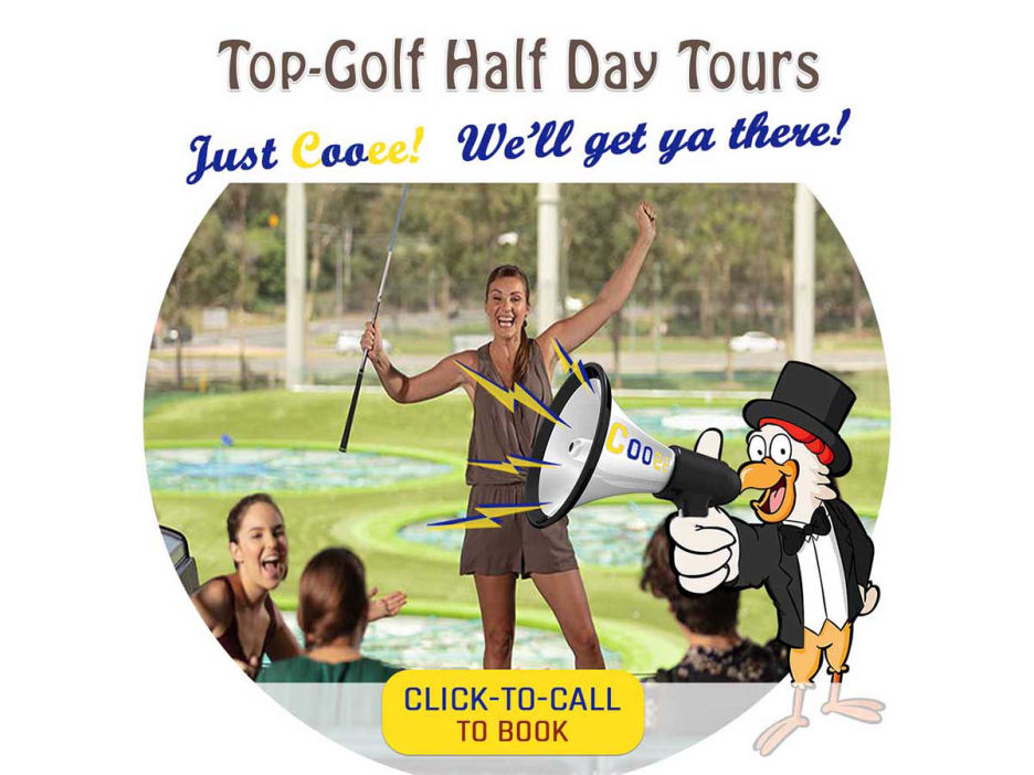 topgolf half day tours gold coast