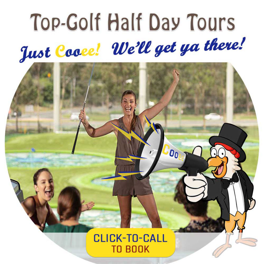 top-golf-half-day-tours-gold-coast