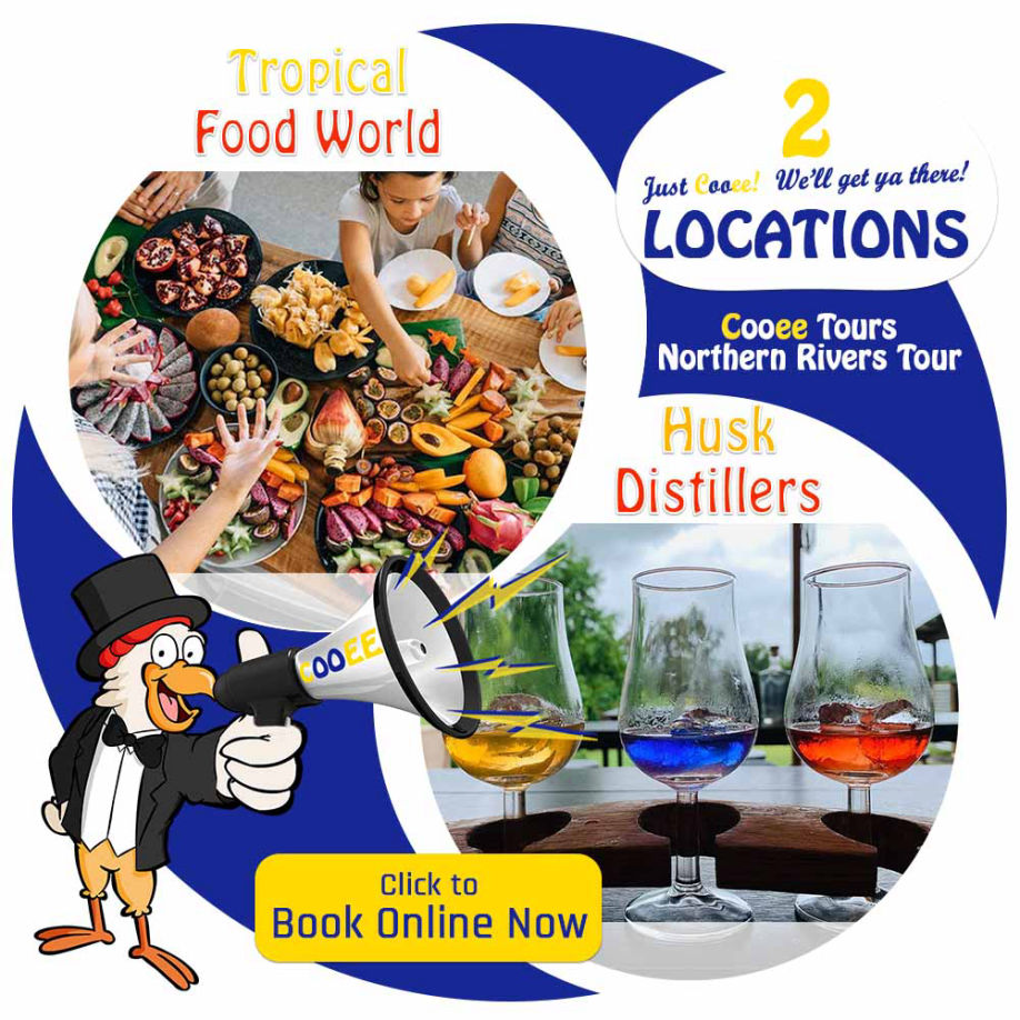 husk distillers tropical food world tours